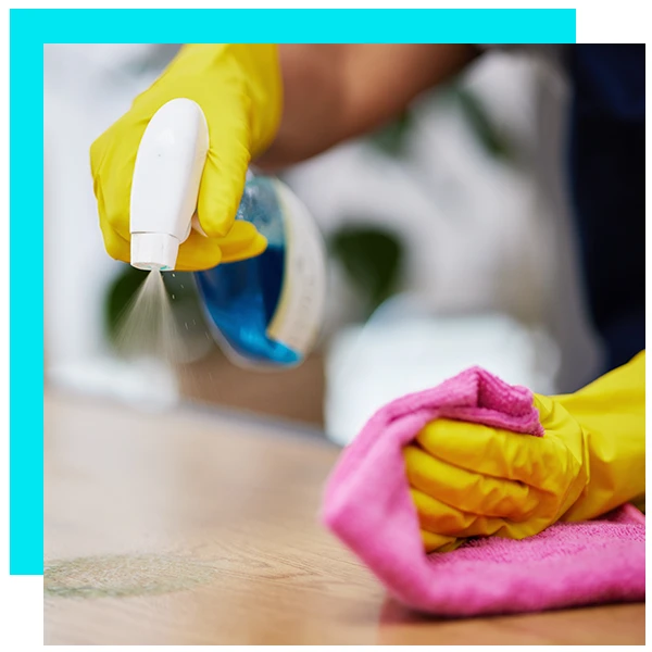 Cleaning Services